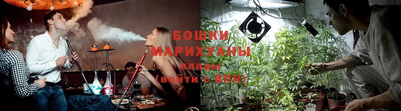 сколько стоит  Карачев  Конопля SATIVA & INDICA 